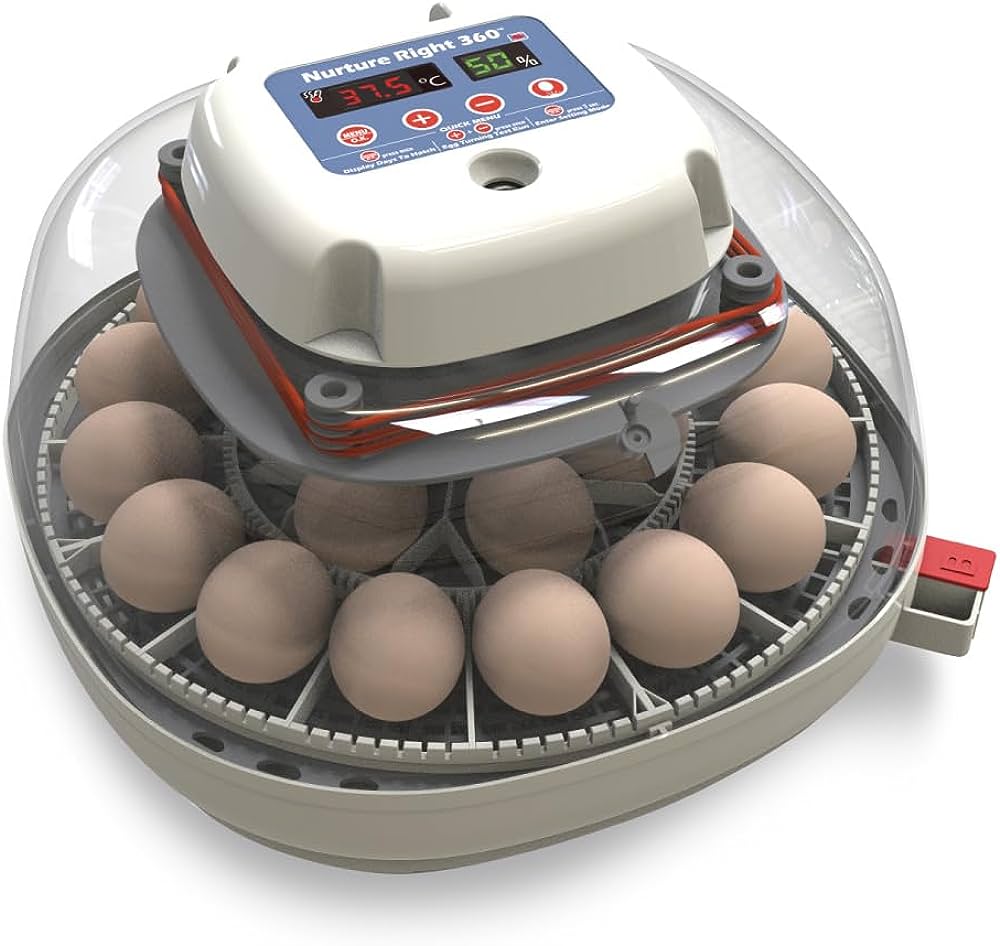 Cracking the Code: Exploring User-Friendly Instructions and Guides for Egg Incubators插图