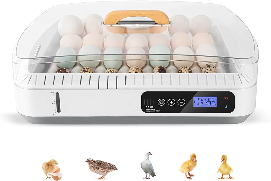 Unlocking Versatility: Exploring the Multi-functional Usage of Egg Incubators插图
