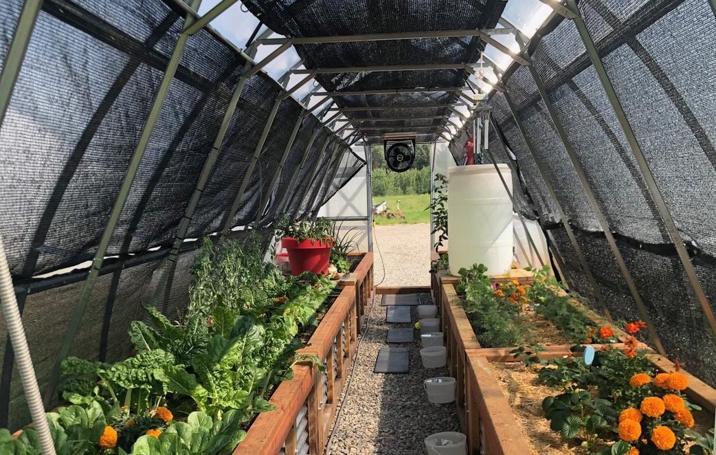 shade cloth for greenhouse