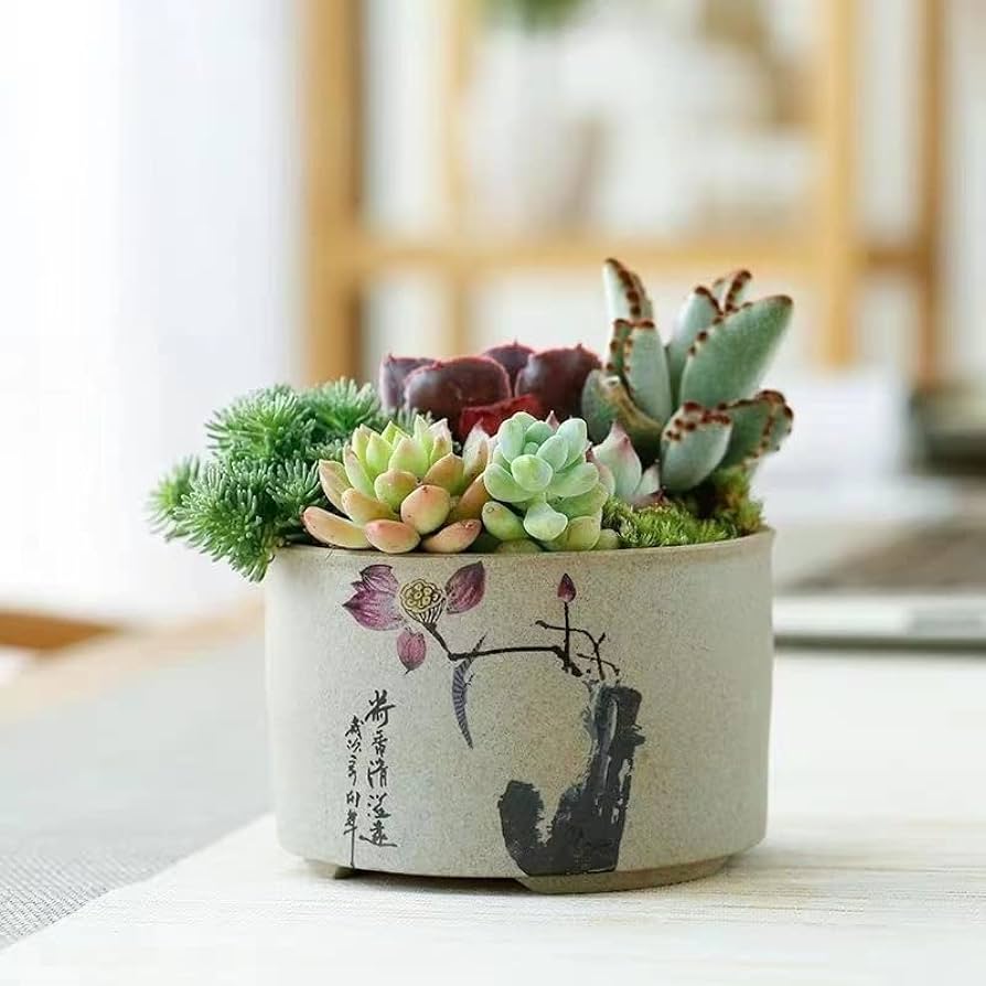 Crafting Handmade Flower Pots: A Step-by-Step Guide插图