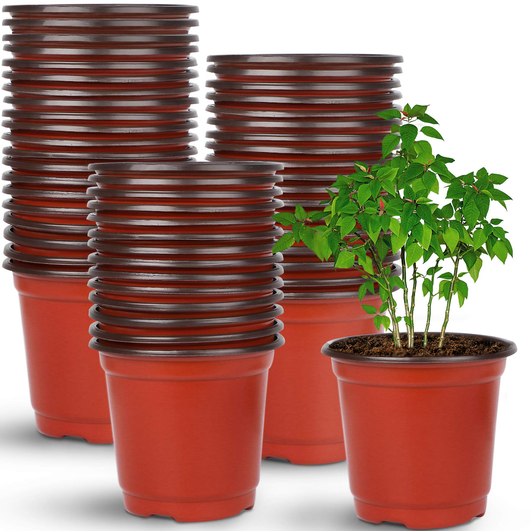 Nursery Pots: Cultivating Growth and Beauty插图2