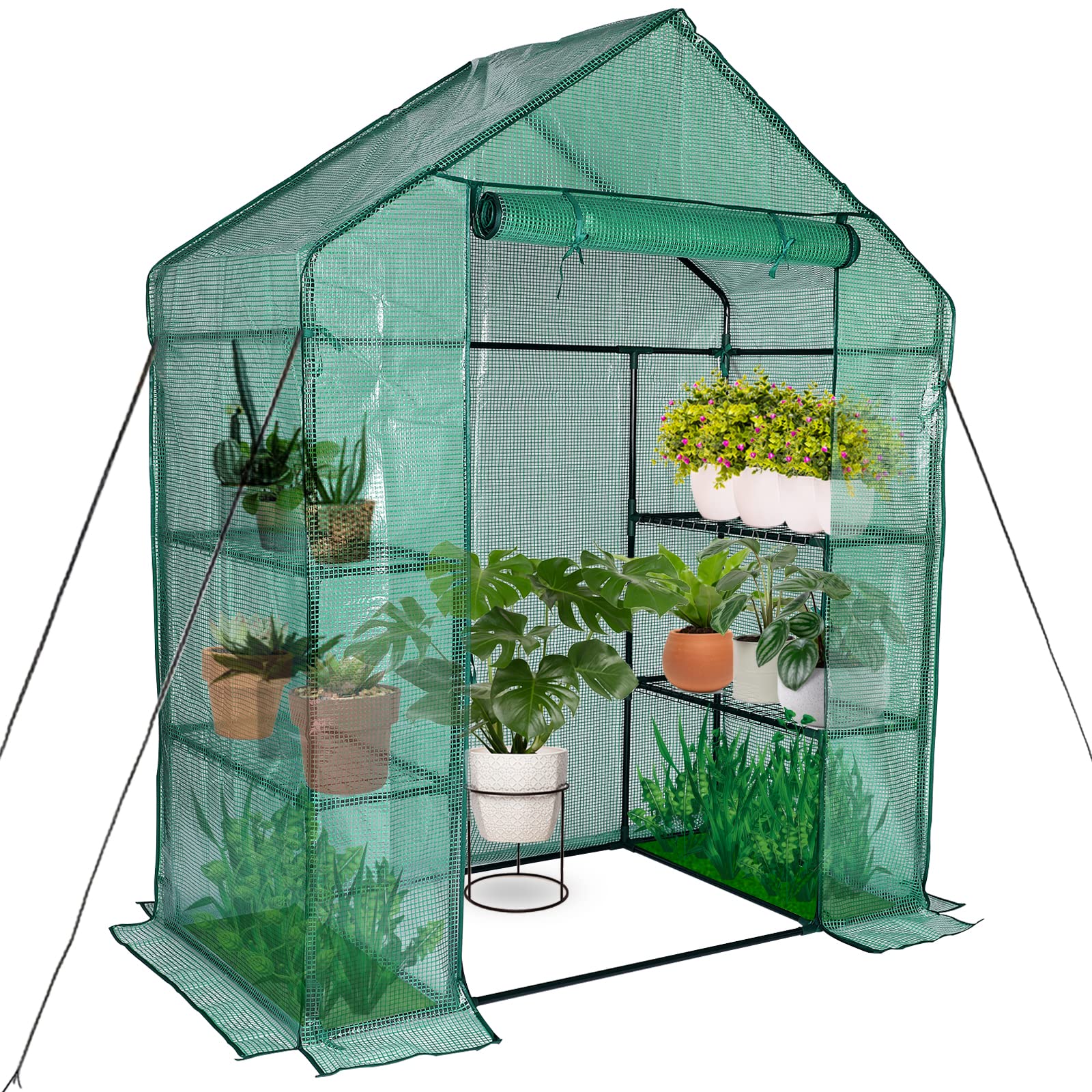 Types of Greenhouses缩略图