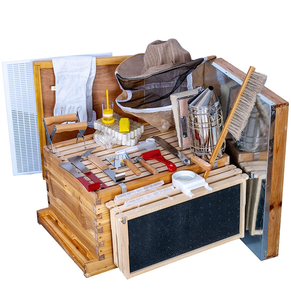 Beginner Beekeeping Kits: Choosing the Right One