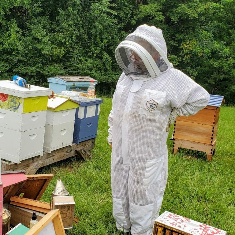 Beekeeping: A Rewarding Yet Challenging Endeavor插图4