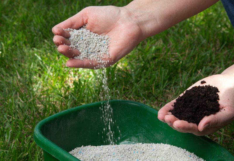 plant food vs fertilizer