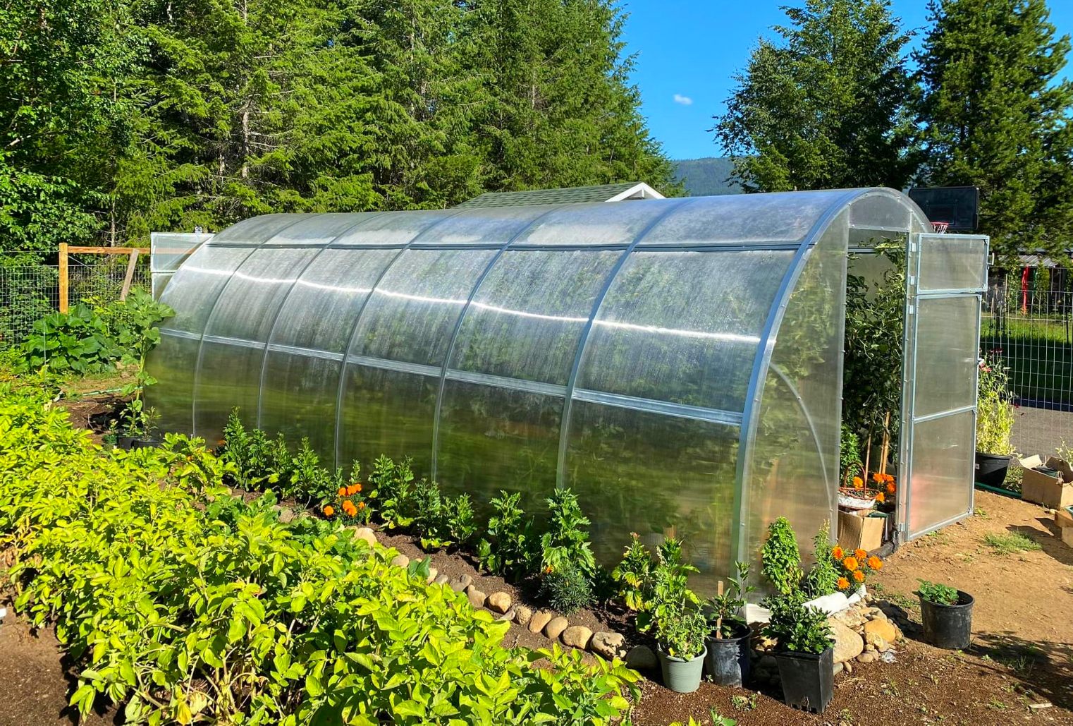 Types of Greenhouses插图2