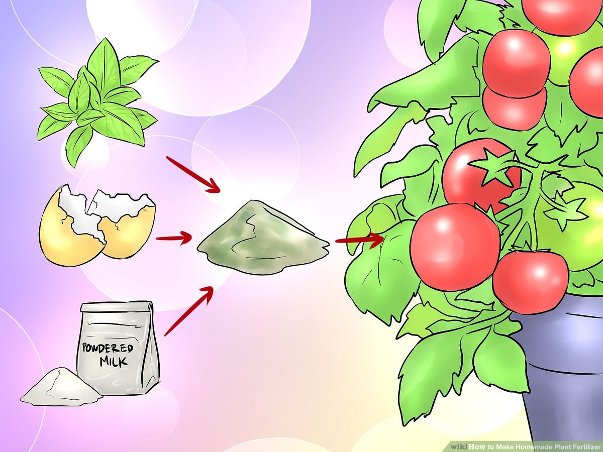 how to make plant food