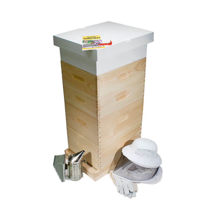 beginner beekeeping kits