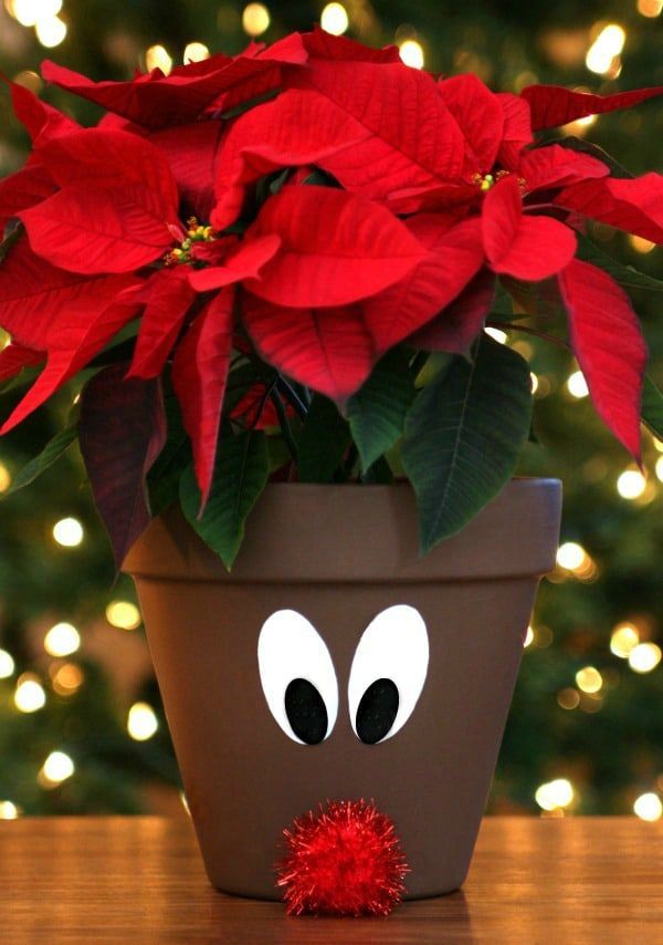 diy christmas flower pots
