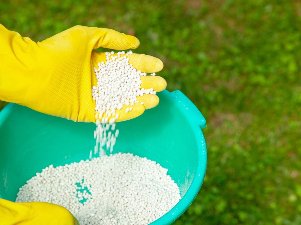 how to make nitrogen fertilizer