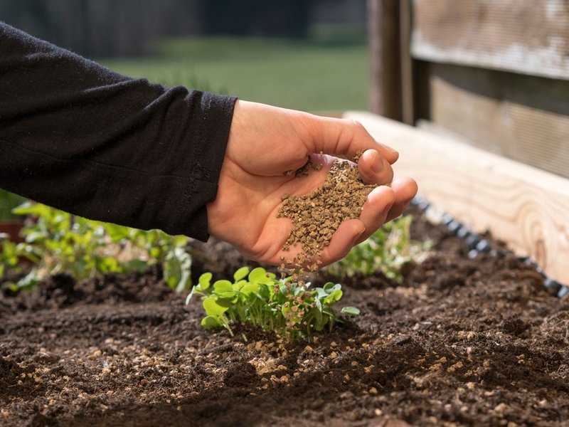 plant food vs fertilizer