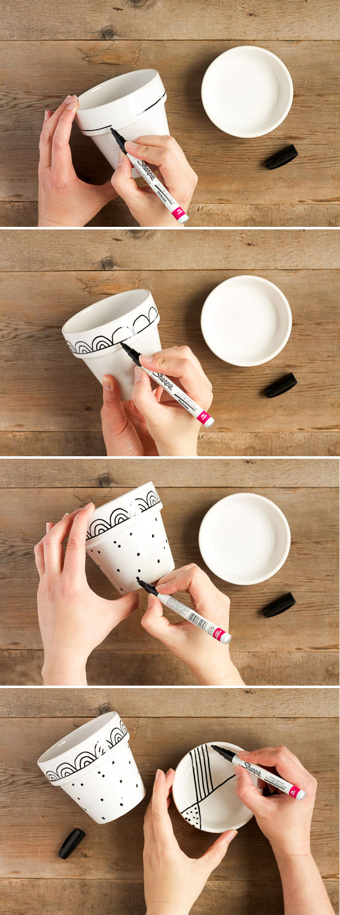 Hand-Painted Flower Pots: A Creative Guide to Crafting Personalized Planters插图4