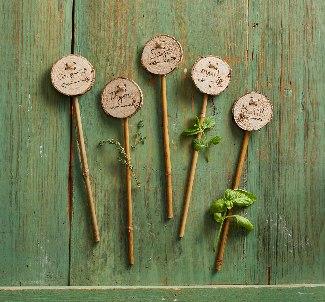 Keeping Tabs: The Best Plant Markers for Your Garden插图