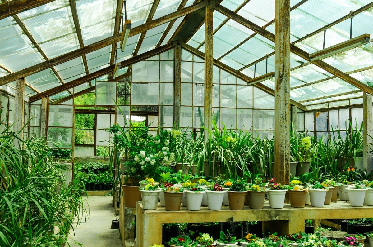 Types of Greenhouses插图4