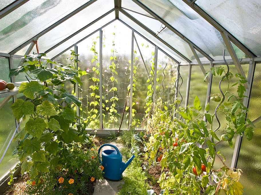 Types of Greenhouses插图3