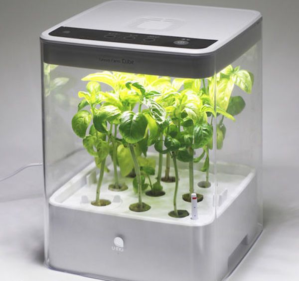 Hydroponic grow boxes插图1