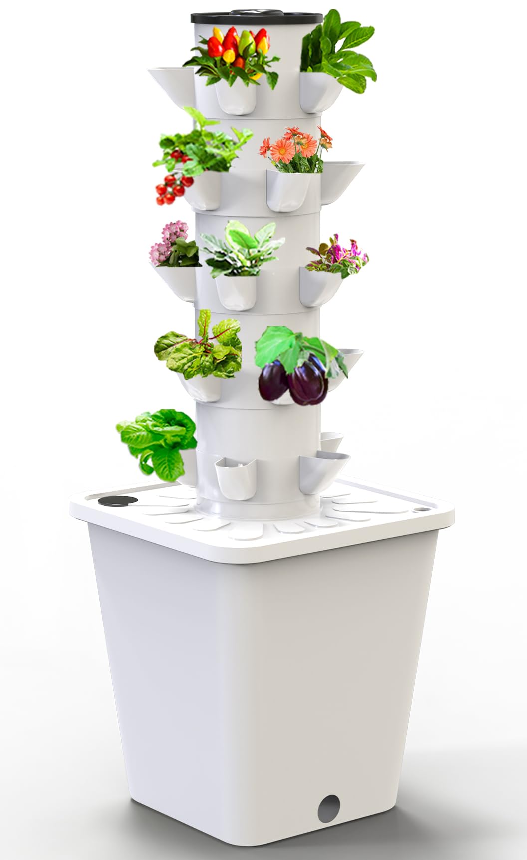 Top-rated hydroponic boxes for small spaces插图3