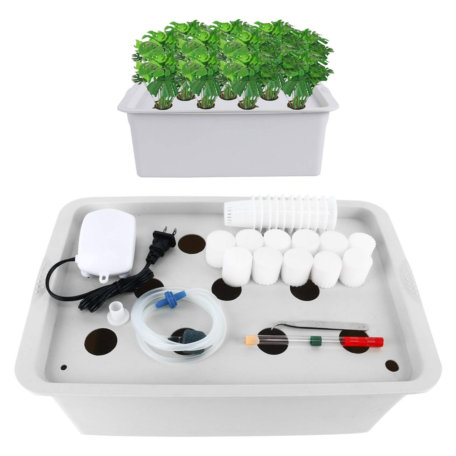 Best hydroponic boxes for beginners缩略图