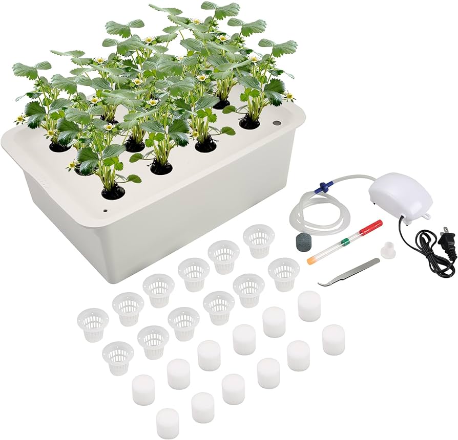 Best hydroponic boxes for beginners插图2