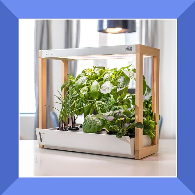 Best hydroponic boxes for beginners插图4