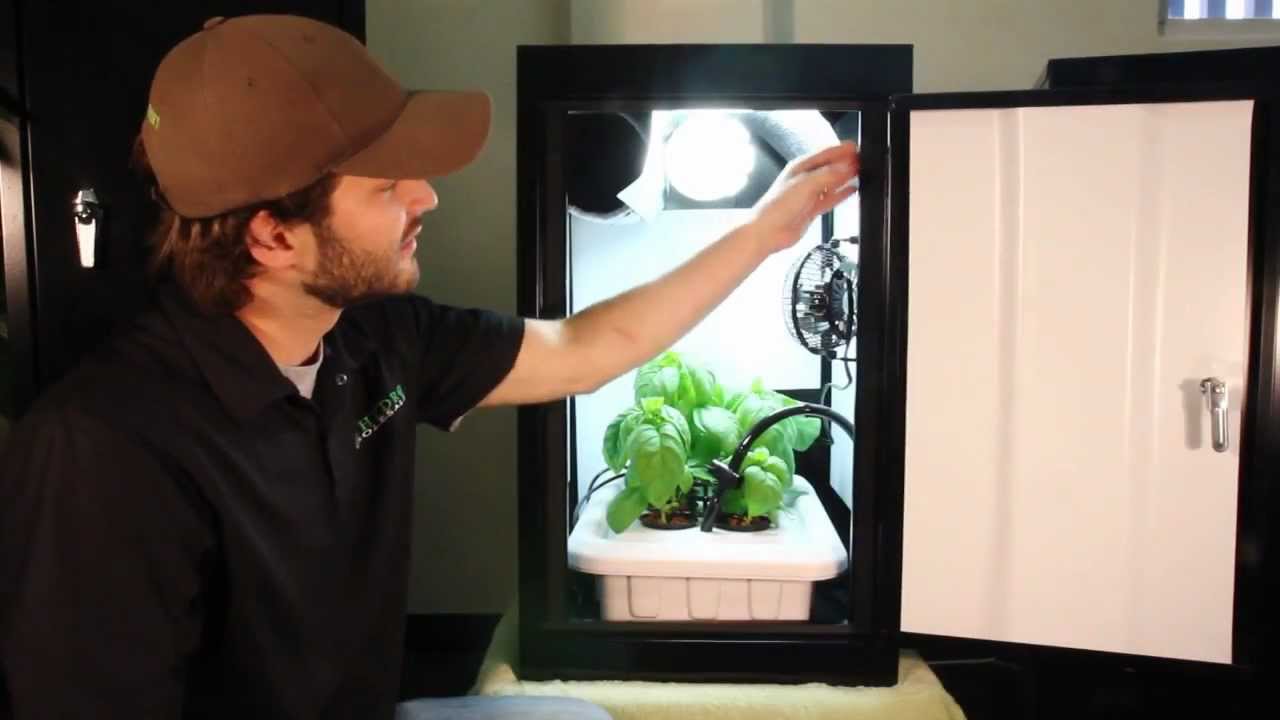Best hydroponic boxes for beginners