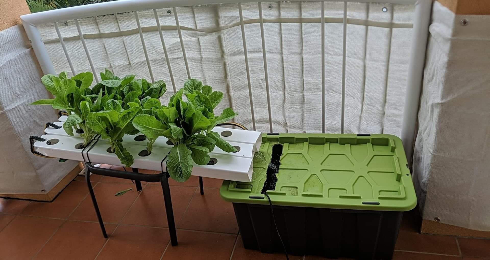 DIY hydroponic boxes插图4