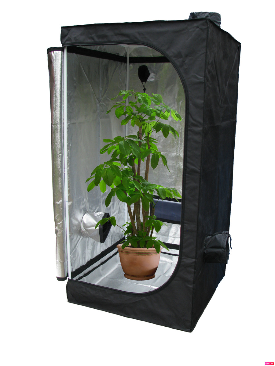 Hydroponic grow boxes插图3