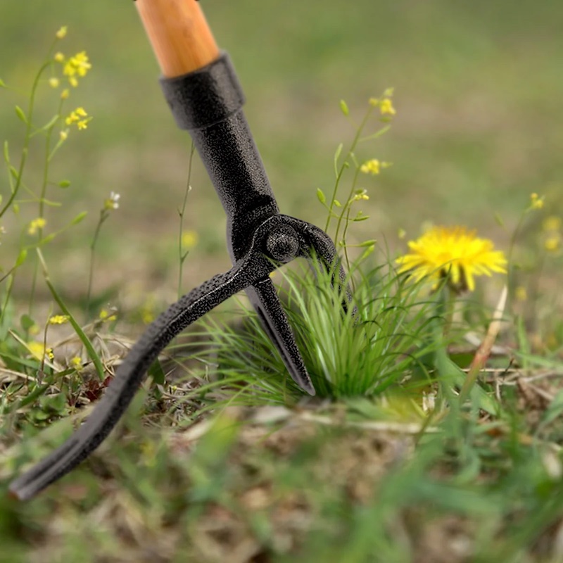 Weeders: A weed-free garden