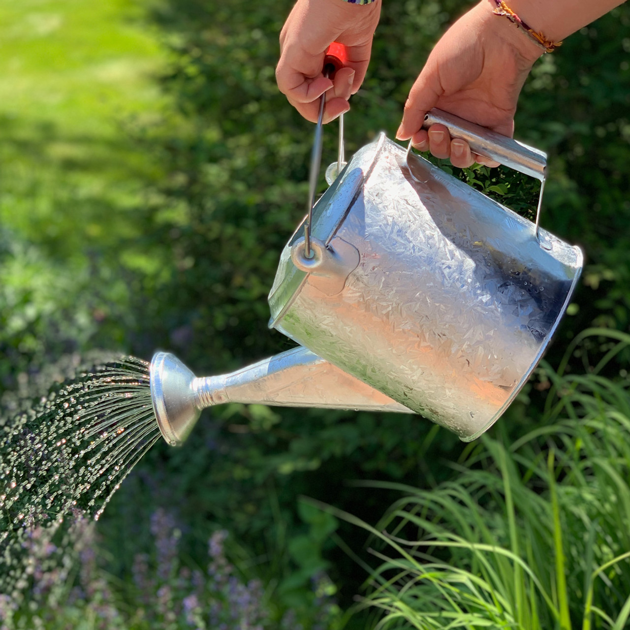 plant watering can