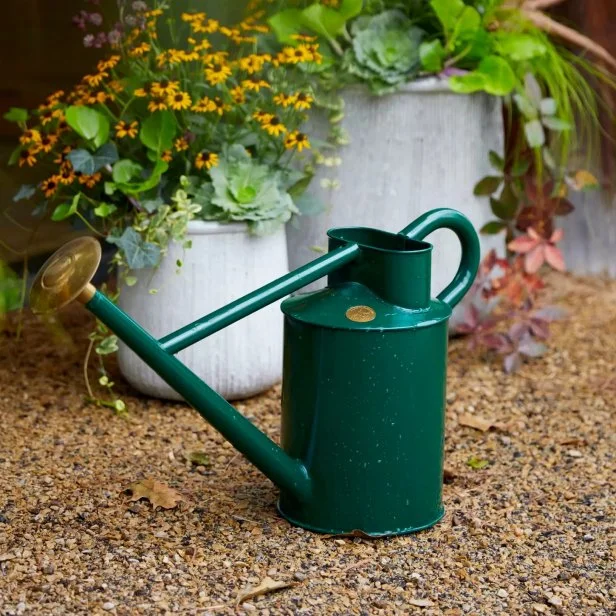 the best watering can