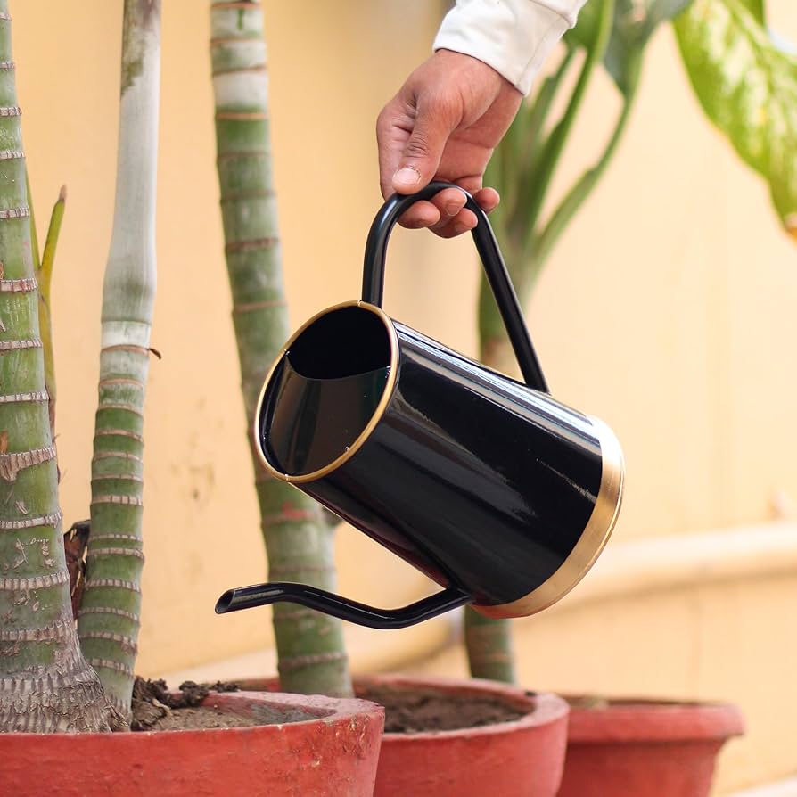 Garden Watering Can