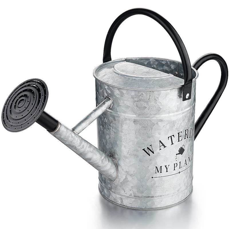 galvanized watering can