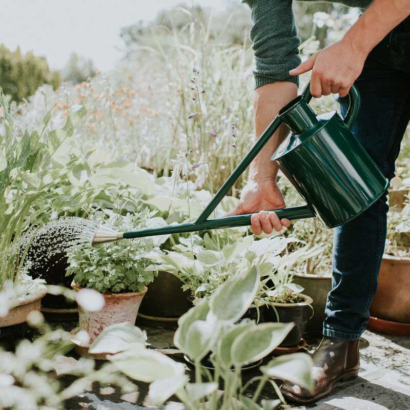 1 gallon watering can