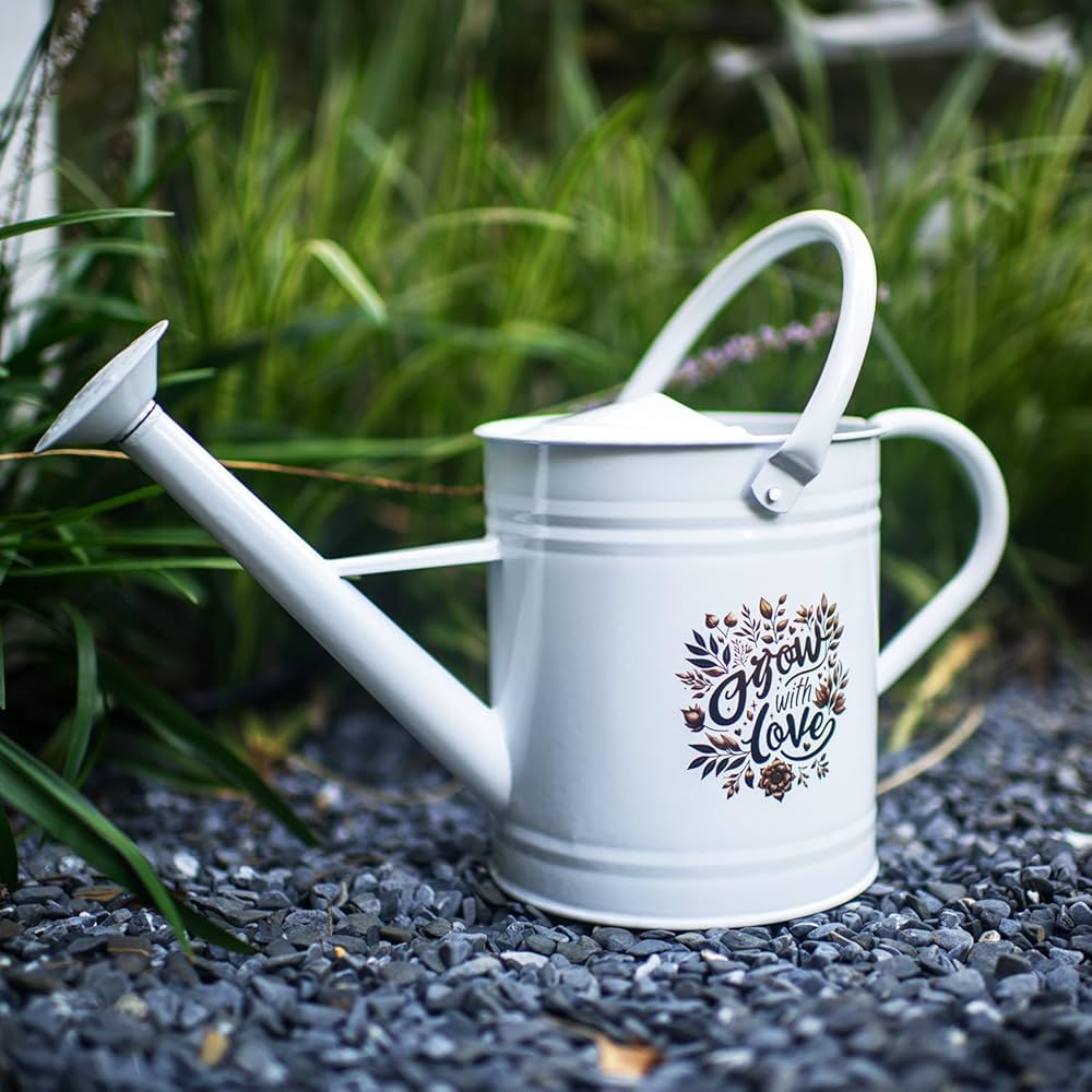 decorative watering can