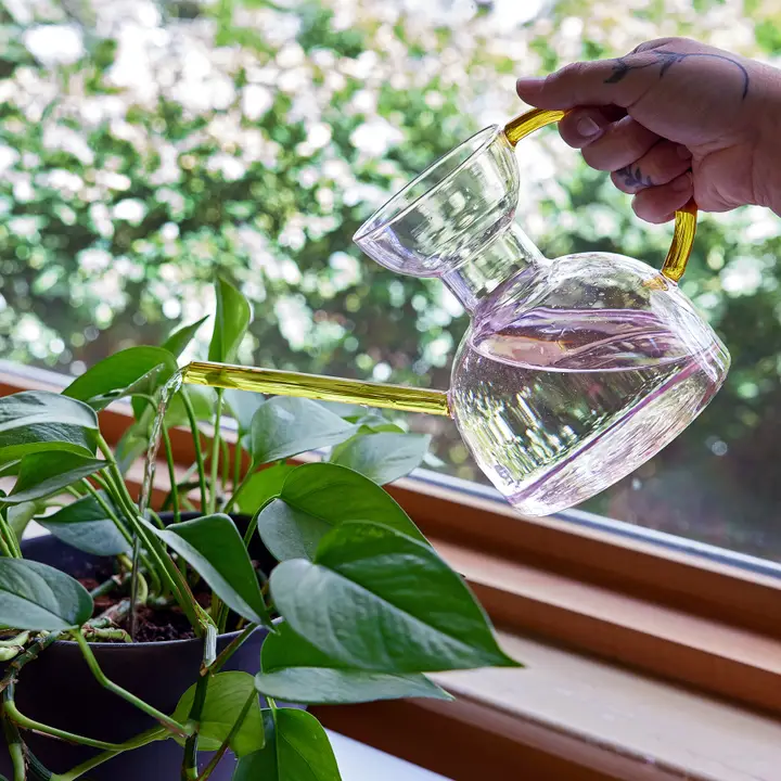 glass watering can