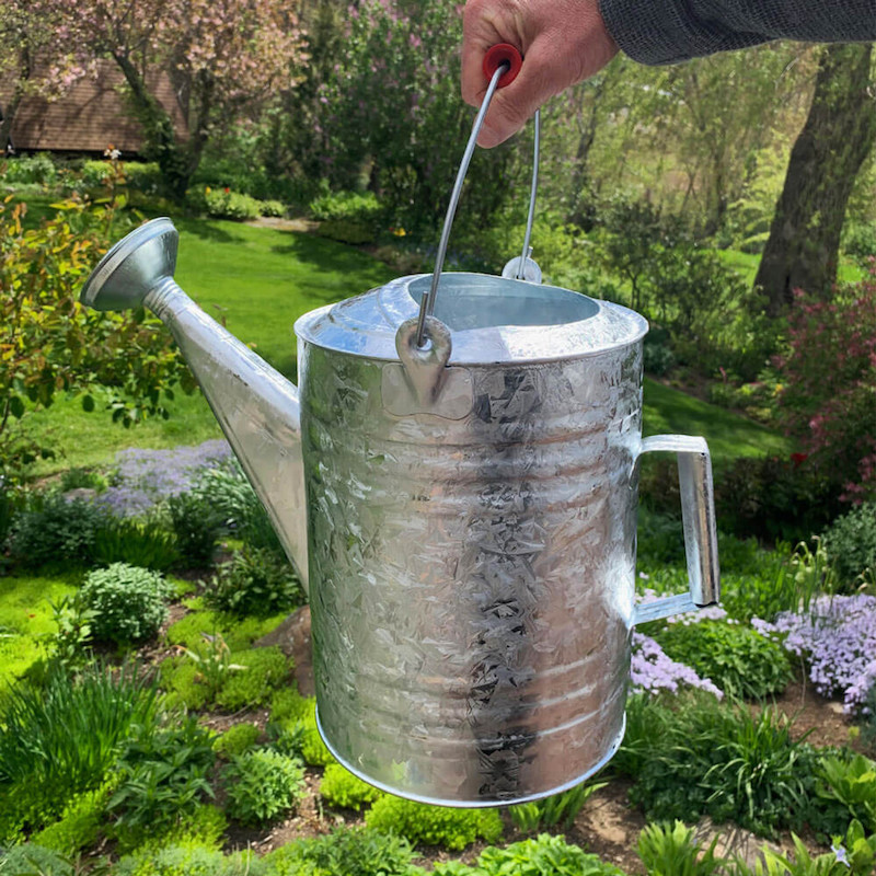 2 gallon galvanized watering can